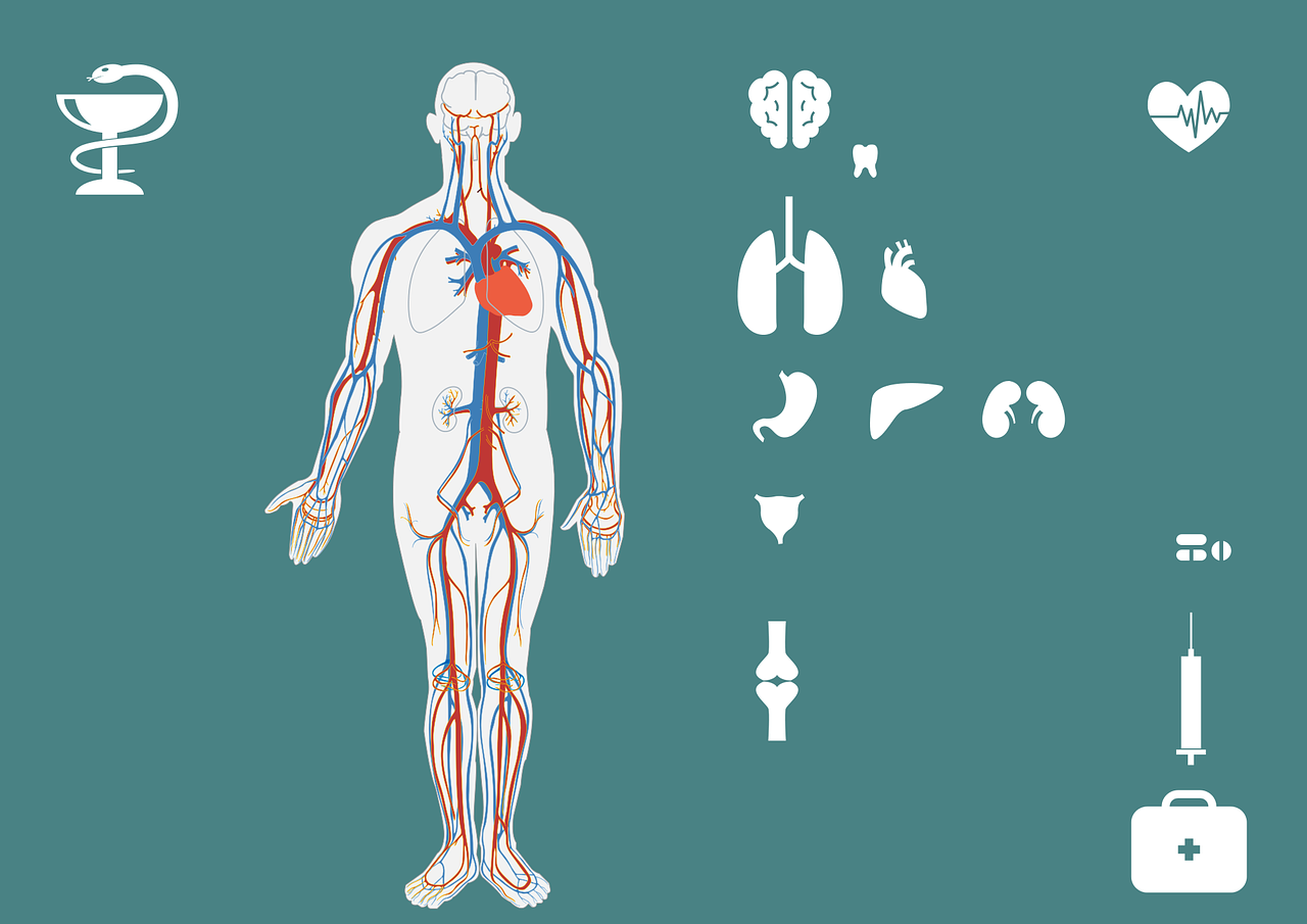 三部门印发卫生健康行业人工智能应用场景参考指引